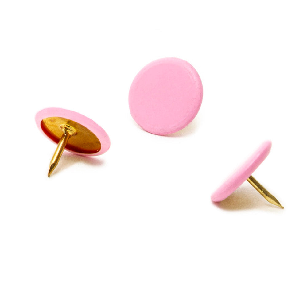 Chinche Importada | Rosa 13 | BACO | Caja con 50 piezas